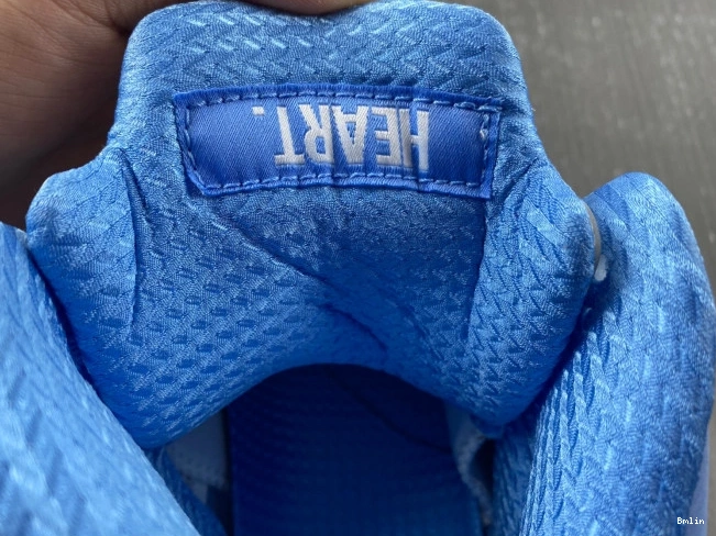 Bmlin DV1310-401 UNC Jordan 5 Air 0808
